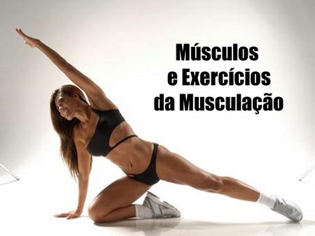 Músculos e Exercícios da Musculação