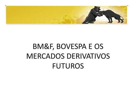 BM&F, BOVESPA E OS MERCADOS DERIVATIVOS FUTUROS