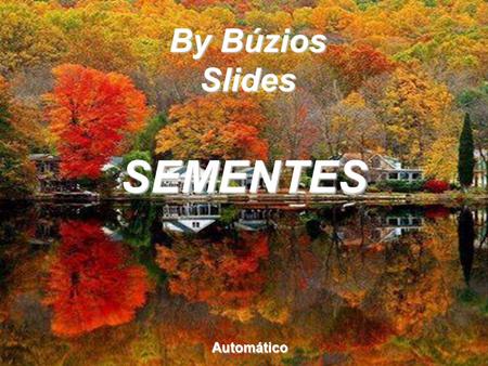By Búzios Slides SEMENTES Automático.