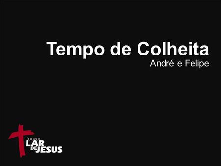 Tempo de Colheita André e Felipe.