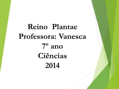 Reino Plantae Professora: Vanesca 7º ano Ciências 2014.