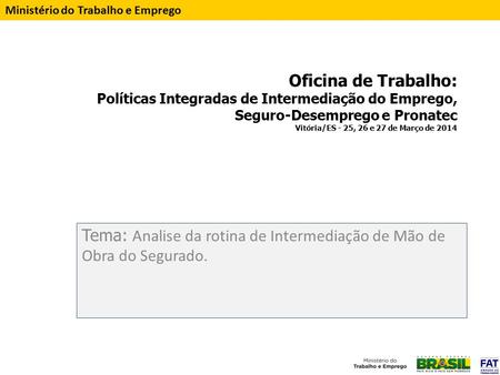 Oficina de Trabalho: Políticas Integradas de Intermediação do Emprego, Seguro-Desemprego e Pronatec Vitória/ES - 25, 26 e 27 de Março de 2014 Tema: Analise.