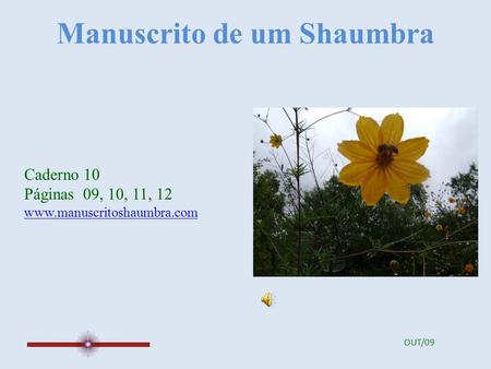Manuscrito de um Shaumbra Caderno 10 Páginas 09, 10, 11, 12 www.manuscritoshaumbra.com OUT/09.