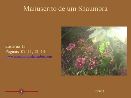 Manuscrito de um Shaumbra Caderno 13 Páginas 07, 11, 12, 14 www.manuscritoshaumbra.com DEZ/10.