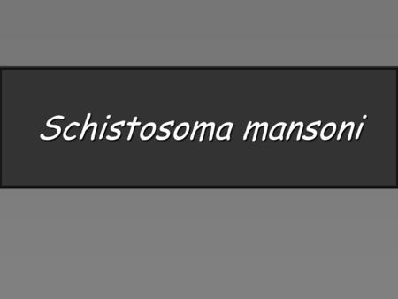 Schistosoma mansoni.