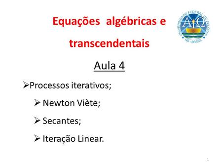 Equações algébricas e transcendentais