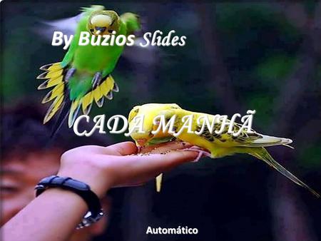 By Búzios Slides CADA MANHÃ Automático Cada manhã... a vida começa By Búzios.