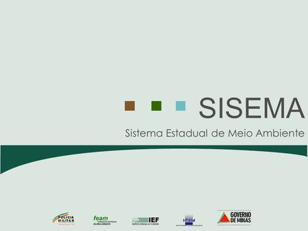 Sistema Estadual de Meio Ambiente SISEMA. Palestrante: Túlio Bahia Data: 27/ 02/ 2008 Oficinas para Implementação das Agências de Bacia Hidrográfica e.