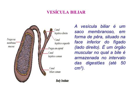 VESÍCULA BILIAR A vesícula biliar é um saco membranoso, em forma de pêra, situado na face inferior do fígado (lado direito). É um órgão muscular no qual.