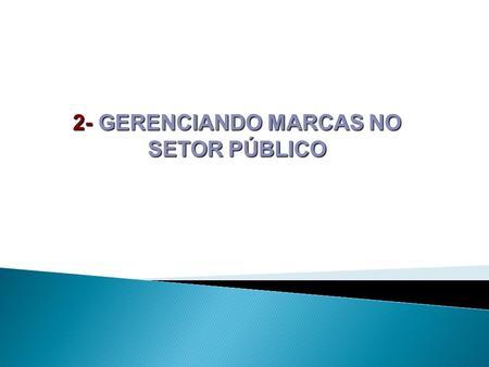 2- GERENCIANDO MARCAS NO SETOR PÚBLICO