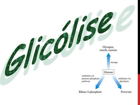 Glicólise.