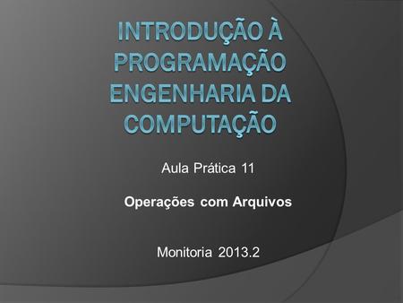 Aula Prática 11 Operações com Arquivos Monitoria 2013.2.