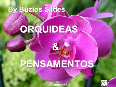 By Búzios Slides ORQUIDEAS & PENSAMENTOS Automático.