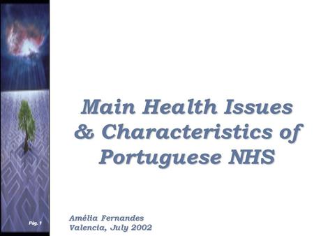 Pág. 1 Main Health Issues & Characteristics of Portuguese NHS Amélia Fernandes Valencia, July 2002.