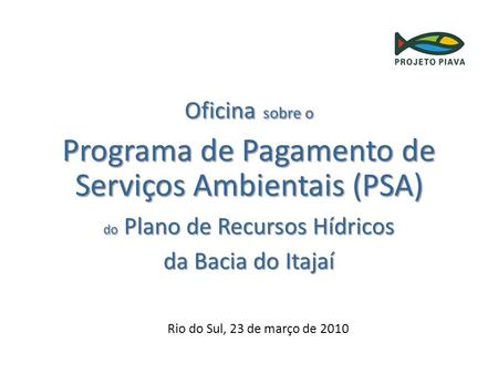 Rio do Sul, 23 de março de 2010 Oficina sobre o Programa de Pagamento de Serviços Ambientais (PSA) do Plano de Recursos Hídricos da Bacia do Itajaí.