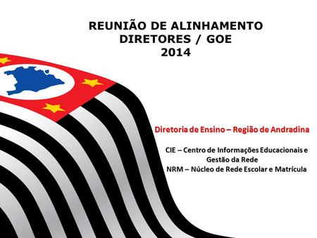 REUNIÃO DE ALINHAMENTO DIRETORES / GOE 2014