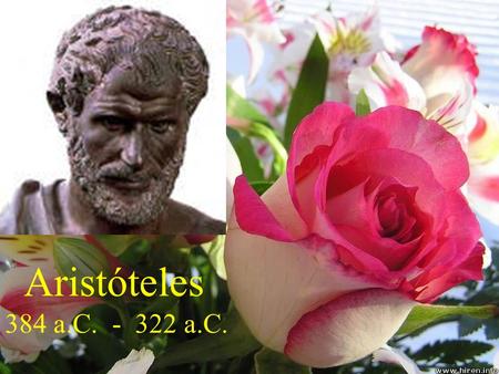 Aristóteles 384 a.C. - 322 a.C..