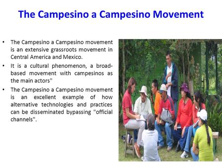 The Campesino a Campesino Movement The Campesino a Campesino movement is an extensive grassroots movement in Central America and Mexico. It is a cultural.