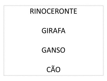 RINOCERONTE GIRAFA GANSO CÃO.