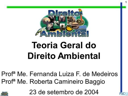 1 Teoria Geral do Direito Ambiental 23 de setembro de 2004 Profª Me. Fernanda Luiza F. de Medeiros Profª Me. Roberta Camineiro Baggio.