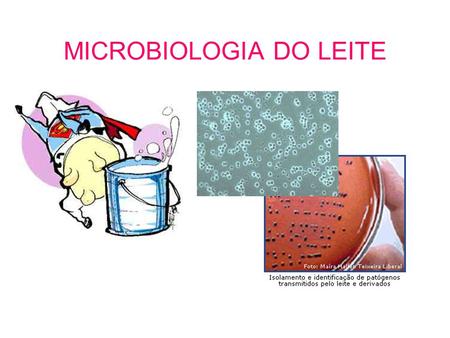MICROBIOLOGIA DO LEITE