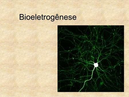 Bioeletrogênese.