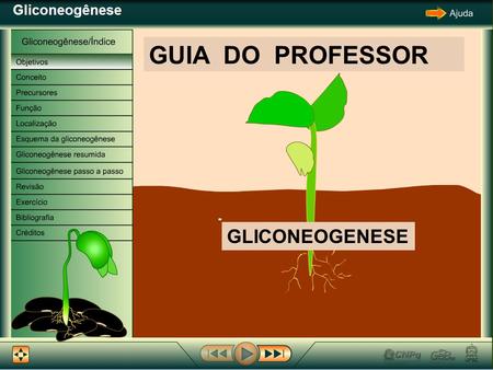 GUIA DO PROFESSOR GLICONEOGENESE.