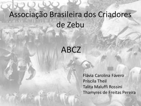 Associação Brasileira dos Criadores de Zebu
