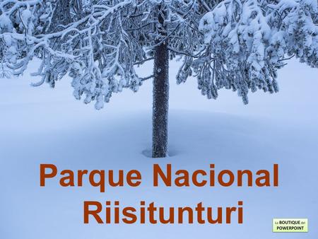 Parque Nacional Riisitunturi O Parque Nacional Riisitunturi é um parque nacional localizado em Posio, na Lapônia Finlandesa. Ele foi criado em 1982 e.