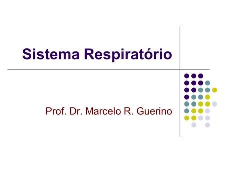 Prof. Dr. Marcelo R. Guerino