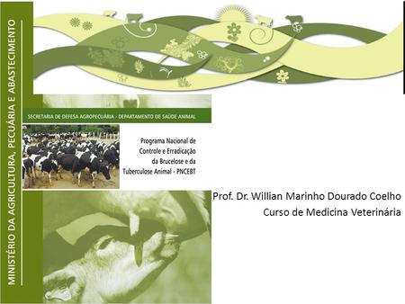 Prof. Dr. Willian Marinho Dourado Coelho Curso de Medicina Veterinária
