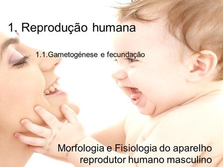 1. Reprodução humana 1.1.Gametogénese e fecundação  