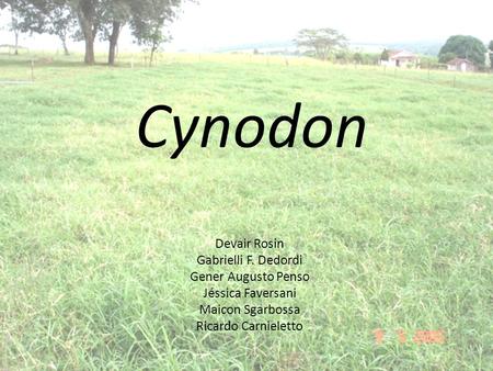 Cynodon Devair Rosin Gabrielli F. Dedordi Gener Augusto Penso
