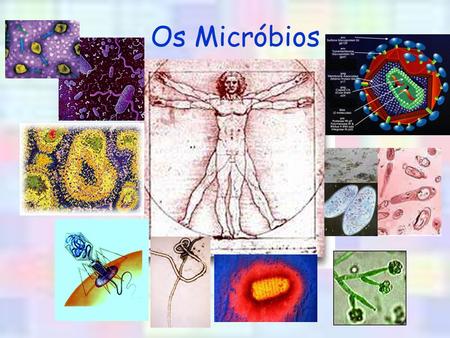 Os Micróbios.
