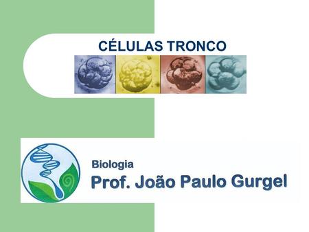 CÉLULAS TRONCO Prof. João Paulo.