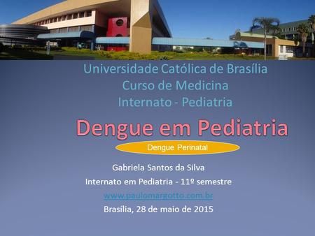 Dengue em Pediatria Dengue Perinatal Gabriela Santos da Silva
