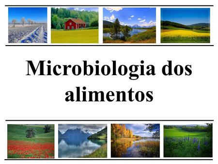 Microbiologia dos alimentos