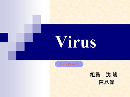 Virus Term Project 組員：沈 峻 陳晁偉.