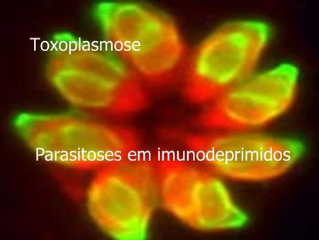 Toxoplasmose Parasitoses em imunodeprimidos.