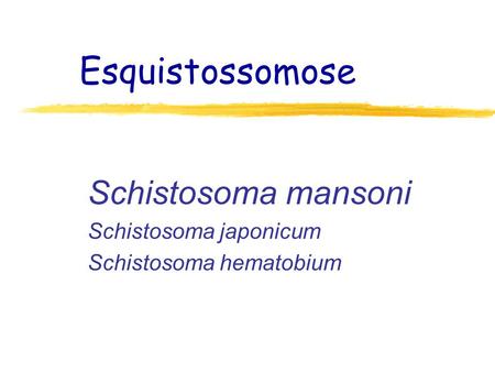 Schistosoma mansoni Schistosoma japonicum Schistosoma hematobium