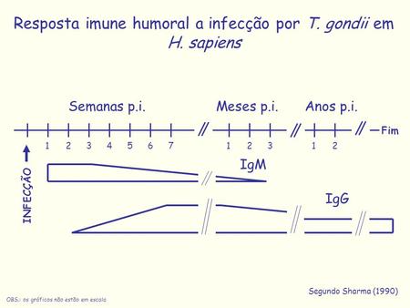 Resposta imune humoral a infecção por T. gondii em H. sapiens
