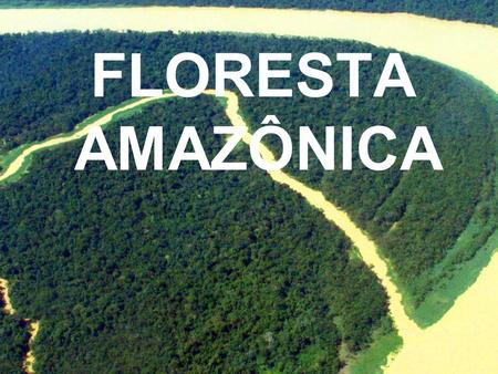FLORESTA AMAZÔNICA.