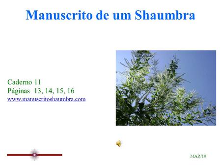 Manuscrito de um Shaumbra Caderno 11 Páginas 13, 14, 15, 16 www.manuscritoshaumbra.com MAR/10.