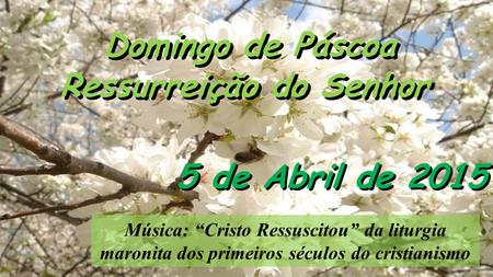 Domingo de Páscoa Ressurreição do Senhor Domingo de Páscoa Ressurreição do Senhor 5 de Abril de 2015 Música: “Cristo Ressuscitou” da liturgia maronita.