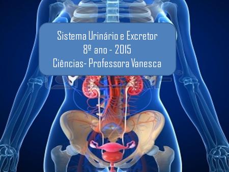 Sistema Urinário e Excretor 8º ano Ciências- Professora Vanesca