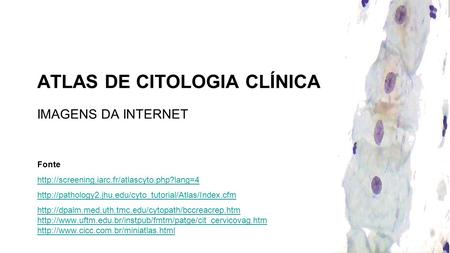 Atlas de Citologia Clínica Imagens da internet
