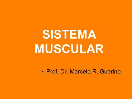 SISTEMA MUSCULAR Prof. Dr. Marcelo R. Guerino.