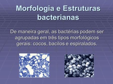 Morfologia e Estruturas bacterianas