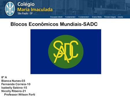 Blocos Econômicos Mundiais-SADC
