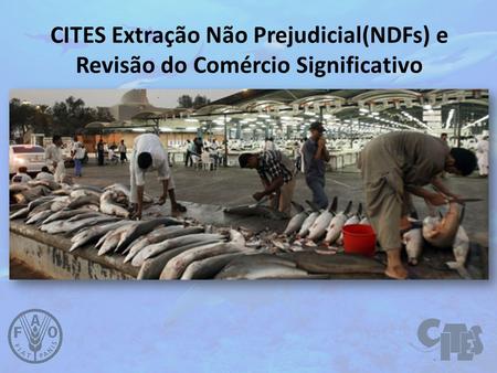 CITES Extração Não Prejudicial(NDFs) e Revisão do Comércio Significativo.
